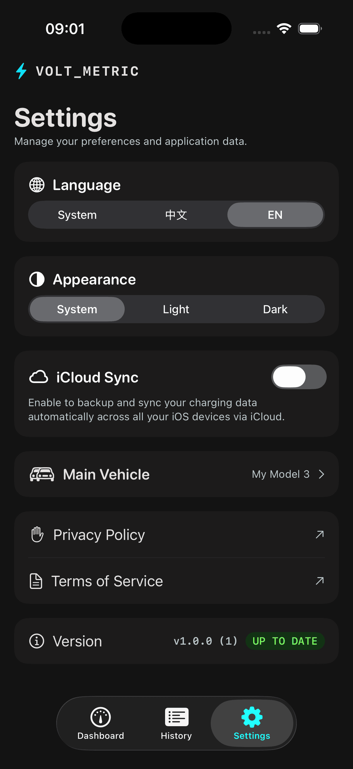 Settings — language, appearance, optional iCloud
